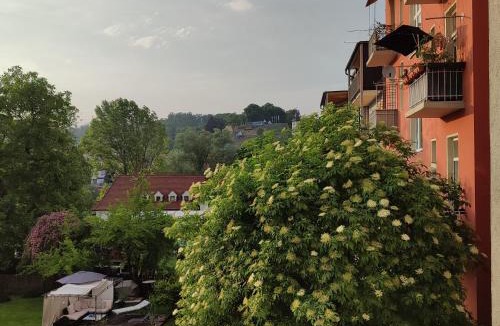 Bruck an der Mur Apartment | Schlossbergblick