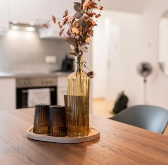 Wiener Neustadt Apartment | Zentrale Business- und Familienwohnung Nähe Wien