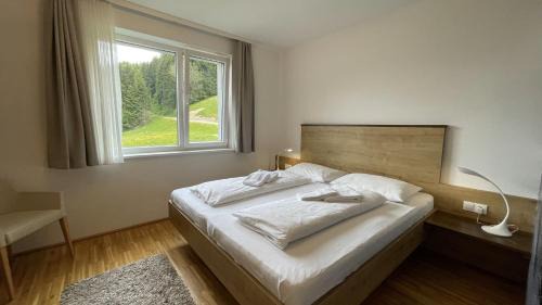 Haus im Ennstal Apartment | Apartmány ALPINE LIVING Haus - Schladming