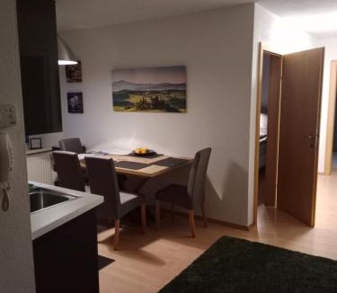 Landeck Apartment | 2-3 Personen Apartment mit Bergblick