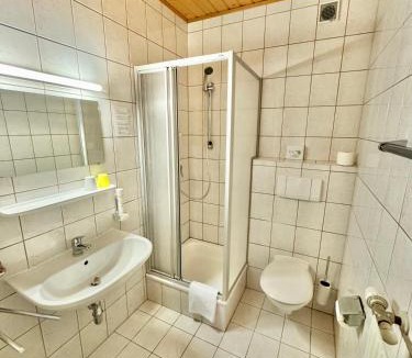 Admont Hotel | Hotel die Traube