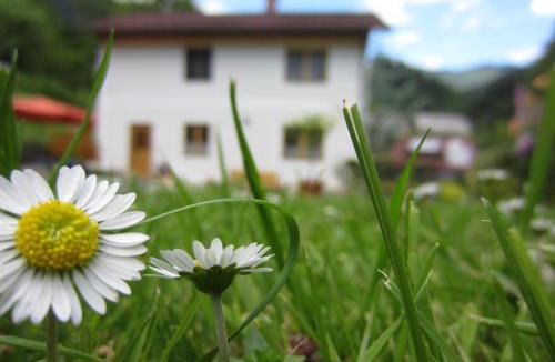 Breitenau am Hochlantsch Apartment | Heidi's Schlummerkiste am Fuß der Teichalm