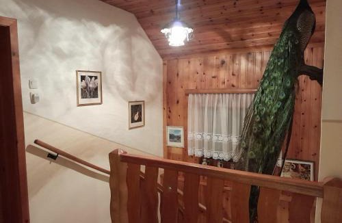 Bad Mitterndorf Apartment | Ferienhaus zur Birke