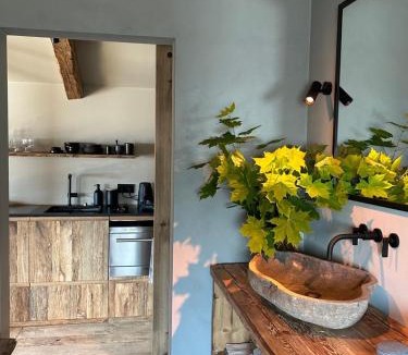 Sankt Wolfgang im Salzkammergut Apartment | Das Bootshaus