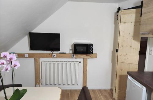 Wolfurt Apartment | Apartment Anna mit Ladestation für E-Autos