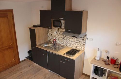 Altmuenster Apartment | Appartement Demelfischer am See