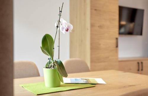 Oberried Apartment | Apartment s`Groasse am Hannesnhof by Interhome