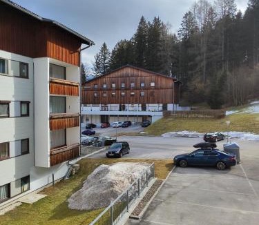 Aigen im Ennstal Apartment | Ferienwohnung - Apartment Pichlarn Holiday