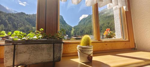 Huben Apartment | Ferienwohnungen Stabentheiner