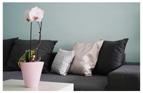 Spittal an der Drau Apartment | Ingrid's Guesthouse Gartenidylle