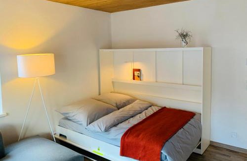 Mittelberg Apartment | Dorf(er)leben Ferienwohnung im Kleinwalsertal
