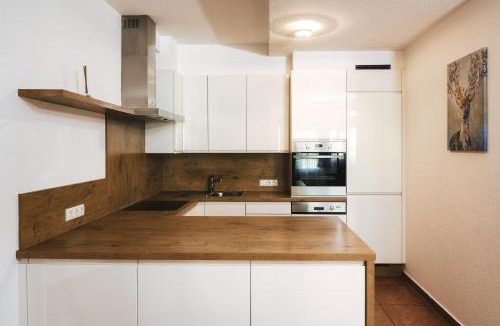 Ried im Oberinntal Apartment | Camping Dreiländereck Blockhütten & Apartments