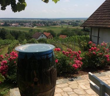 Eberau Apartment | Kellerstöckl Am Weinberg 140 Gaas