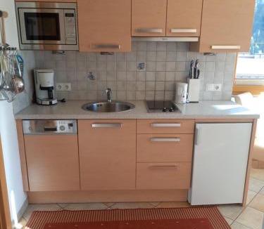 Niederthai Apartment | Haus Panorama
