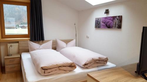 Grossdorf Apartment | Ferienwohnung Greber Gertraud