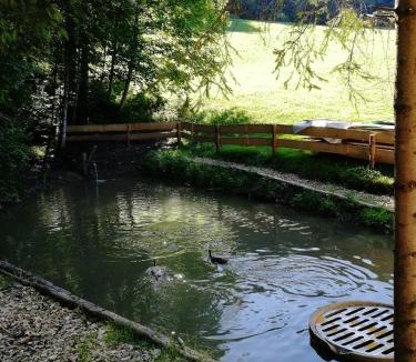 Grossdorf Apartment | Ferienhaus am Waldrand von Egg Bregenzer Wald