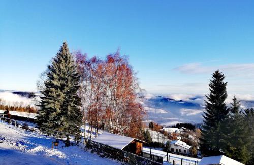 Sankt Corona am Wechsel Bed & Breakfast | WeiXL Schi&Bike Appartements-Bike in&Bike out neben Wexl Trails Bikepark