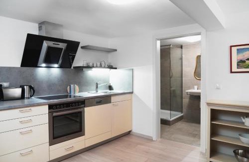 Innsbruck City Centre Apartment | Apartments Golden Roof by Penz