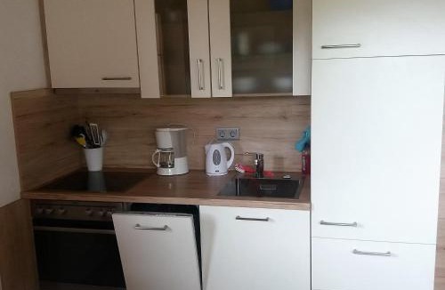 Haus im Ennstal Apartment | Appartement Van Dijk