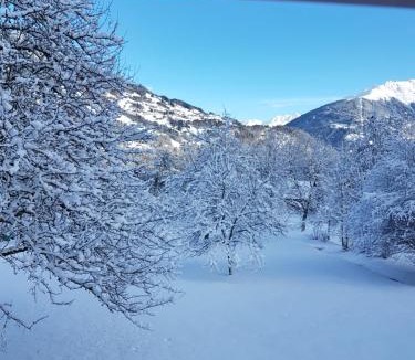 Vandans Ski Chalet | Montafon Alpen Chalet