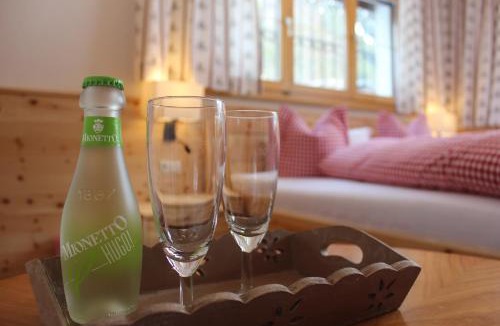 Partenen Apartment | Ahnenhöfl