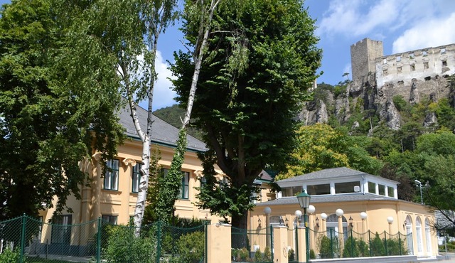 Villa 'Wienerwald Residenz' with Private Pool, Wi-Fi and Air Conditioning