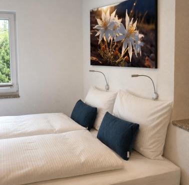 ONO Apartments