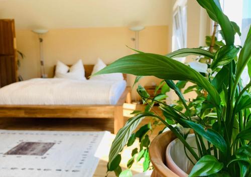 Denes Appartement