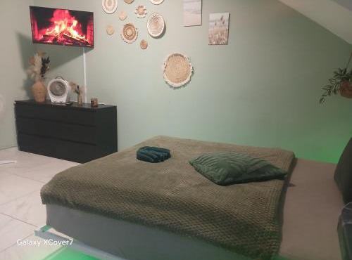 City Honor Green Room in Linz