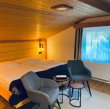 Apart Berghof Steinbock