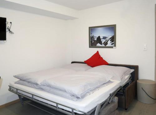Apartment Pelinka - PTZ200 by Interhome