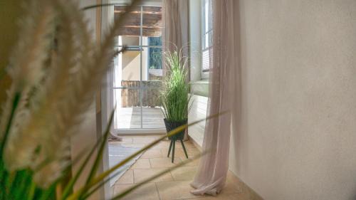 Alpen Loft