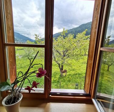 Bad Kleinkirchheim Bio Naturhof Ottingerhof